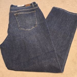Judy Blue Denim Jeans 20W